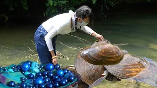 👑🎁Adventure feat! The girl found a huge river clam, which had a beautiful treasure trove of pearls