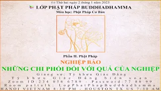 Phật Pháp Cơ Bản | Phần II: Phật Pháp - NGHIỆP BÁO - NHỮNG CHI PHỐI ĐỐI VỚI QUẢ CỦA NGHIỆP