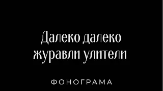 Далеко далеко, далеко журавли улетели,  ФОНОГРАМА Христианские псалмы.