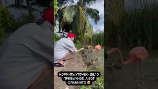 Настасья Самбурская в Доминикане