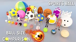 🏀🎱⚽️Ball Size Comparison 🏈🥎🏉