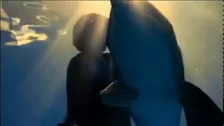 ~  Dolphin  Tale  ~  (winter's original video )