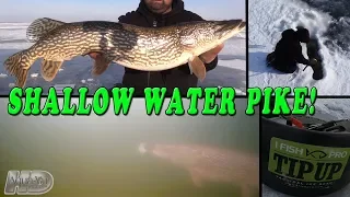Ice Fishing for Shallow Water Pike!