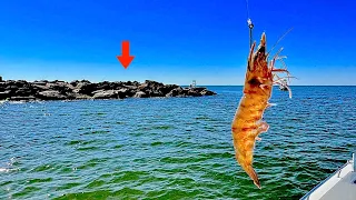 I TOSSED a LIVE! SHRIMP along these JETTY ROCKS and CAUGHT DINNER!