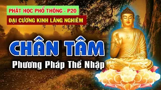 Phật Dạy Phương Pháp THỂ NHẬP CHÂN TÂM | Phật Học Phổ Thông – Phần 20