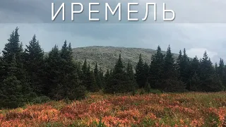 ИРЕМЕЛЬ требуют наши сердца