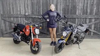 What do Girls Prefer? The Honda Grom or Kawasaki Z125?