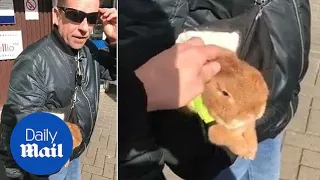 Man rants his guide rabbit is not allowed into pubs - Daily Mail