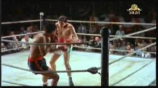 Elvis Presley in rolul lui Kid Galahad-boxing