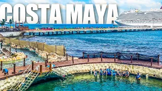 DO NOT PAY For Excursions in Costa Maya Cruise Port!