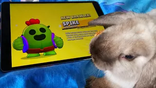 Bunny does lucky box opening Brawl Stars