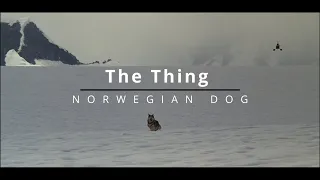 Space Ambient Music| The Thing (MainTheme) | Norwegian Dog | DARK | MUSIC |ALIEN | ANTARCTICA