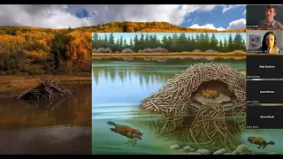 Beavers: Greater Yellowstone’s Climate Resiliency Heroes
