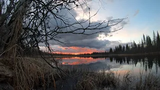 ЩУКА ИЗ ЛУЖИ НА КАЖДЫЙ ЗАБРОС! Рыбалка с ночевкой в таёжном зимовье.