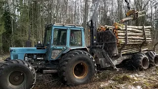 MTZ in forest(15.03.2021)