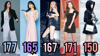 THE TALLEST AND SHORTEST MEMBER IN EACH KPOP GIRL GROUP (UPDATE)