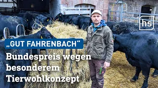 Bio-Hof aus Nordhessen erhält Bundespreis Ökologischer Landbau | hessenschau
