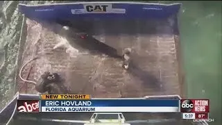 Marine research group tracking sharks