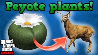 Peyote plants! - GTA Online guides