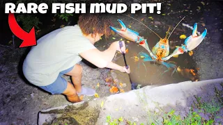 I Found MUD HOLE Filled With RARE FISH!