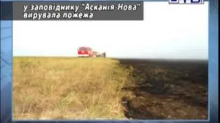 06.08.2012 У заповіднику Асканія-Нова вирувала пожежа.mp4