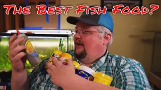 The Best Fish Foods - An In Depth Look at All the Fish Food I Like and Use