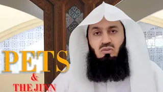 PETS & THE JINN - MUFTI MENK