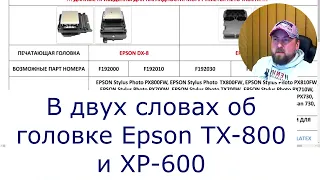 ПЕЧАТНАЯ  ГОЛОВА TX800 И XP600