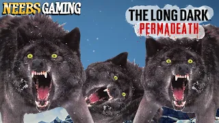 Oh God. The Wolves Know Where We Live  - The Long Dark Permadeath