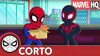 El Gato-Dron | Aventuras de Súper Héroes de Marvel