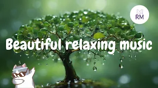 RM | Beautiful relaxing music | Sleep Music, Calming Music, Stop thinking, stress relief music #37