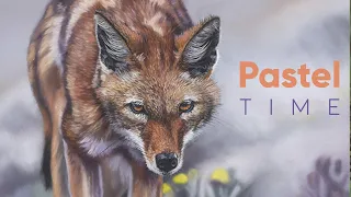 Ethiopian Wolf in Soft Pastel - Timelapse