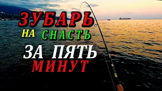 🔴Крым. Выживание Любой Ценой. Сделали Снасть из Подручных Средств Для Ловли Зубаря. Морская Рыбалка.