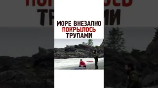 МОРЕ ВНЕЗАПНО ПОКРЫЛОСЬ ТРУПАМИ