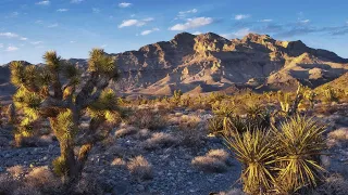 Mojave Desert / Починка Мостов  - SnowRunner #3