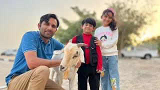 Qurbaani 🐐 | Eid Mubarak to you all 🌙 ​⁠from @SehrishLuqmanFamily