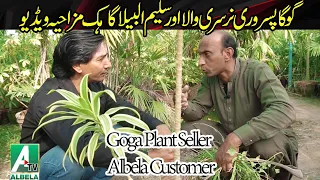 Goga Pasroori flower seller and Saleem Albela customer | Albela Tv