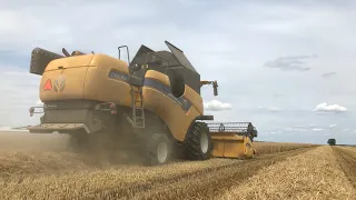 Żniwa 2023 - New Holland CX6.80