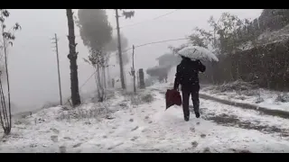 Watch: Nagaland’s Zunheboto Receives Season’s First Snowfall