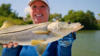 Huge Snook, Chasing Reds, Inshore is on fire in St. Pete FL