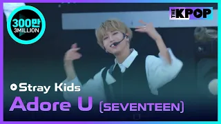 Stray Kids, Adore U(SEVENTEEN) [Jeju hallyu Festival 2018]