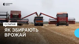 «Робимо свій хліб»: як тривають жнива на Одещині та який цьогоріч врожай