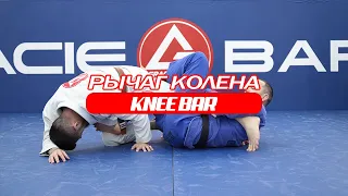 Рычаг колена/Knee Bar