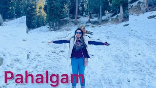 Day 3|Pahalgam Kashmir||Baisaran Vallay||Mini Switzerland||Kashmir in December||Hotel Bombay Palace