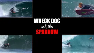 Wreck Dog and the Sparrow