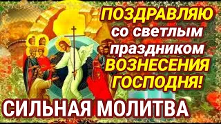 В ДЕНЬ ПРАЗДНИКА ВОЗНЕСЕНИЯ ГОСПОДНЯ молитесь об исцелении себя, детей, родных и близких!