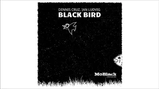 Dennis Cruz, Ian Ludvig - Black Bird