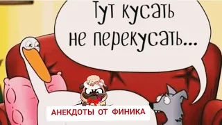 АНЕКДОТЫ ОТ ФИНИКА 😆 4 😁ВОЛЧОК В ШОКЕ😂ЮМОР