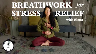 Breathwork for Stress Relief - 5 minutes *follow-along*