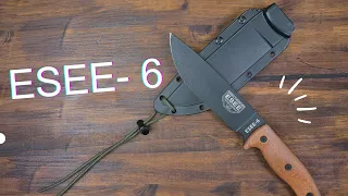 ESEE 6